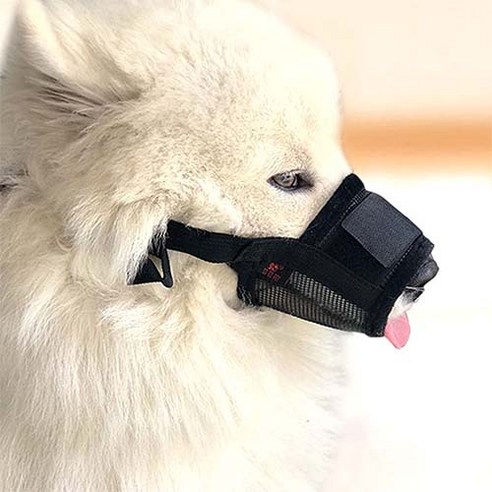 할로펫 반려견 입마개 블랙, S, 1개