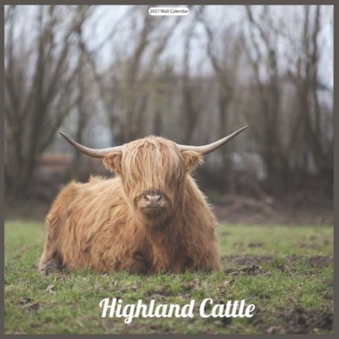 Highland Cattle 2021 Wall Calendar: Official Highland Cow Wall Calendar 2021 Paperback, Independently Published, English, 9798575823841