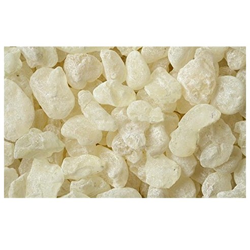 Chios 그리스산 매스틱 검 알갱이  astic u Resin asticha istacia entiscus 리뷰 후기