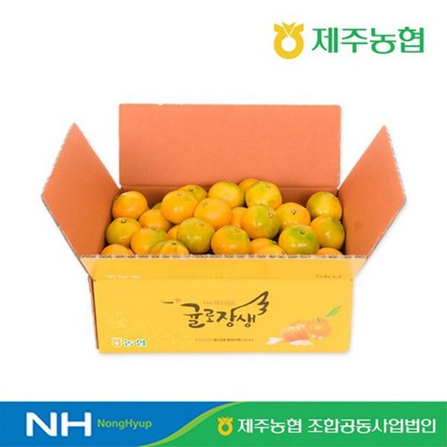 eTV 24년 귤로장생 하우스 밀감 2.5kg, 1개