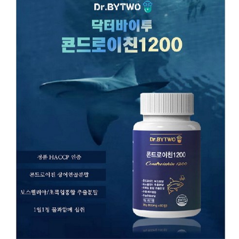 콘드로이친 닥터바이투 콘드로이친1200(600mg x 60정), 1개, 60정
