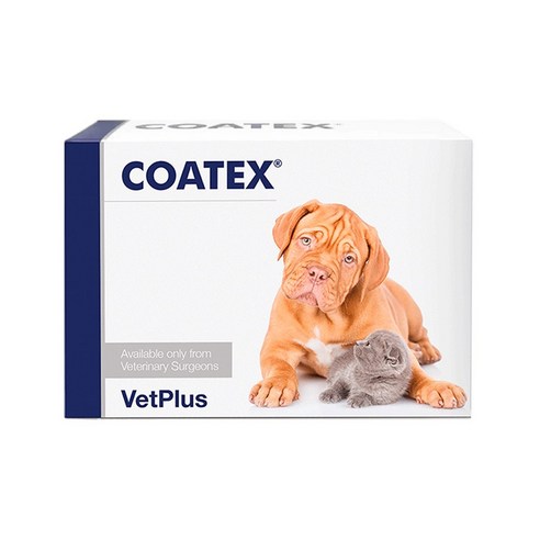 벳플러스 코텍스 강아지 고양이 겸용 피부 영양제 캡슐 60개입, 1개, 피부/털개선