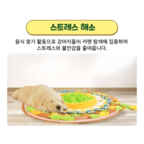 사랑하는 반려견을 위한 최고의 노즈워크 매트