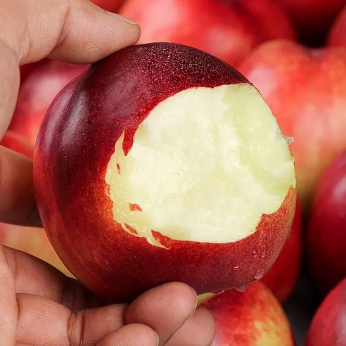 "엇, 이건 뭐지?🍑" 잠깐! 신비로운 첫사랑 맛, 신비복숭아의 비밀! 신비복숭아