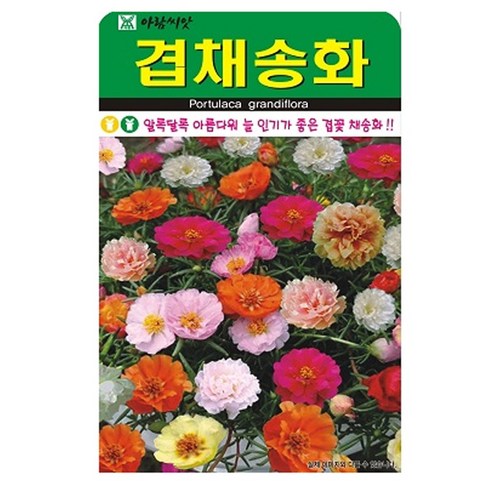 겹채송화 꽃 씨앗 꽃씨 종자 씨, 3개