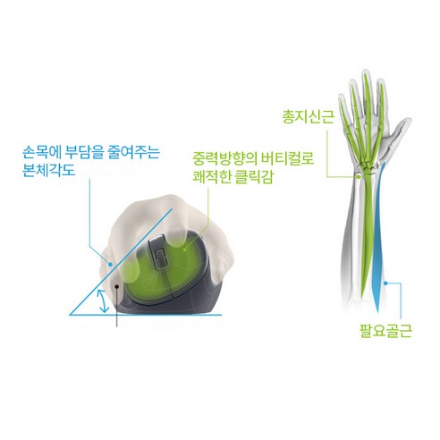 손목 통증 완화를 위한 최적의 인체공학적 버티컬 마우스