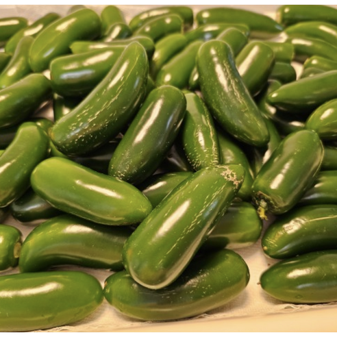 산지직송 할라피뇨고추 500g 1kg 2kg 3kg 4kg / 할라피뇨고추1kg 생할라피뇨고추 할라피뇨 할라피뇨고추 할라피뇨생고추 고추장아찌 할라피뇨피클, 1개