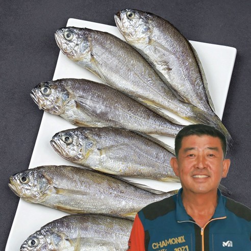 [가정용] 영광 법성포 백순기 굴비 20미 대용량 지퍼백 포장 4호 1.60kg 5호 1.80kg, 영광굴비 대용량 20미 4호-1.60kg, 1개