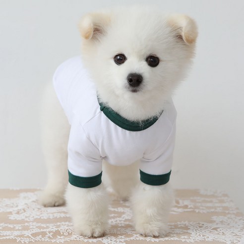 럭키페터 링거 강아지 옷 소형견 대형견 티셔츠 화이트 시리즈, 화이트+그린, 1개