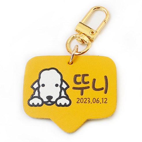 사랑하는 반려동물을 위한 특별한 선물: 고리형 인식표로 안전과 스타일을 동시에! 강아지인식표