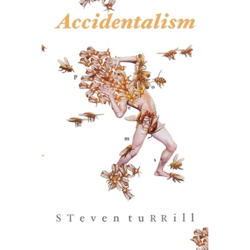 Accidentalism Paperback, Lulu.com, English, 9781716583650