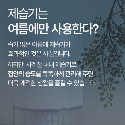 편안하고 건강한 공간을 위한 컴팩트하고 강력한 제습기