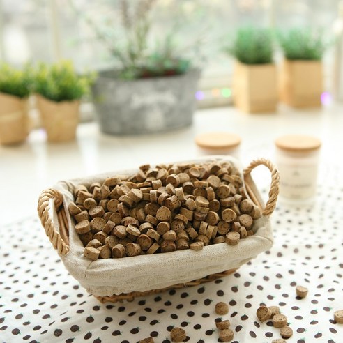 반려견의 눈 건강을 지키는 최적의 선택