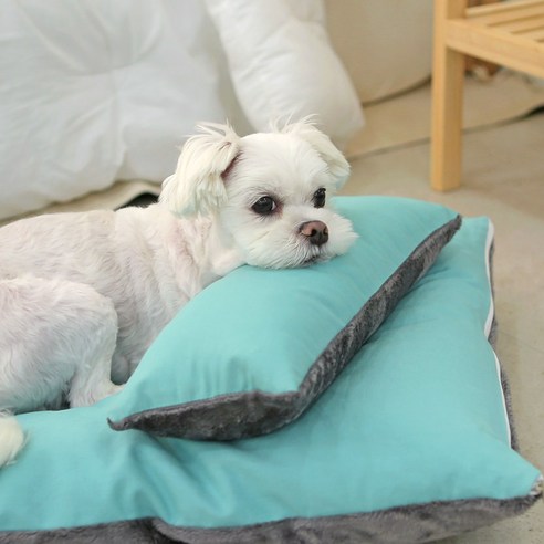 펫 베개 극세사 옥스포드 양면 커버분리형 강아지 고양이 바디필로우 5colors 마이크로화이버솜, 베이지