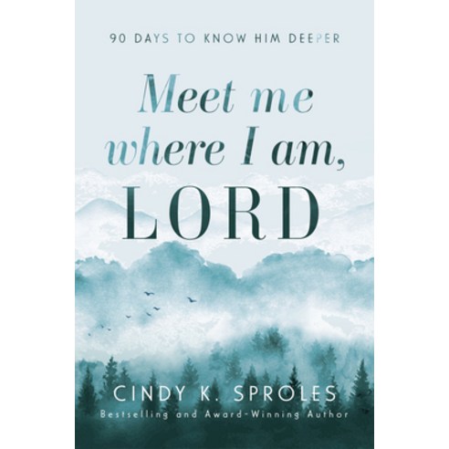 (영문도서) Meet Me Where I Am Lord: 90 Days to Know Him Deeper Paperback, Iron Stream, English, 9781563096150