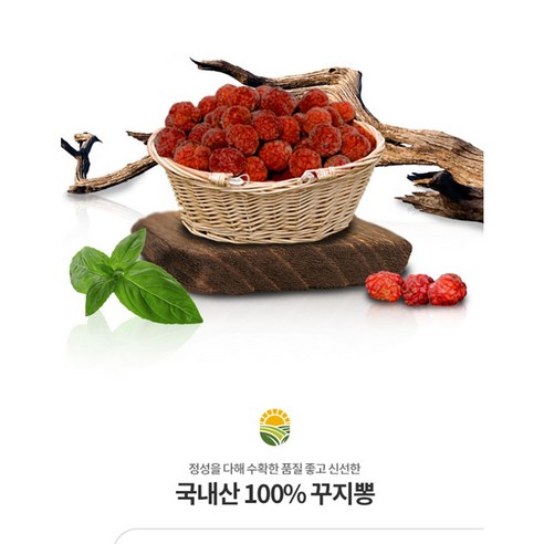 꾸지뽕열매 꾸지뽕 꾸지뽕5kg, 5kg1개, 5kg