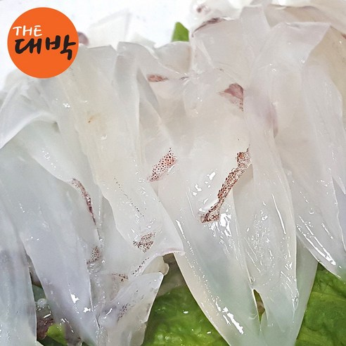 제주 자연산 한치로 맛있게 즐기는 제철 한치회와 한치물회