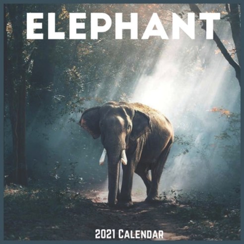 Elephant 2021 Calendar: Official Elephant Wall Calendar 2021 Paperback, Independently Published, English, 9798581973967