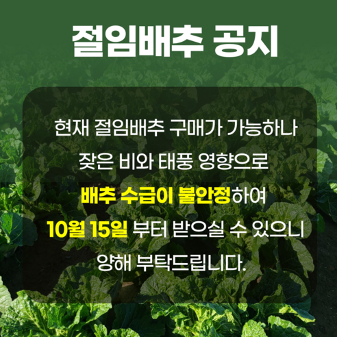 절임배추, 절임배추20kg, 화요일(10/18)도착