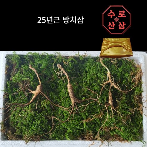 [수로] 국내산 산삼 25년 방치삼, 1개, 0