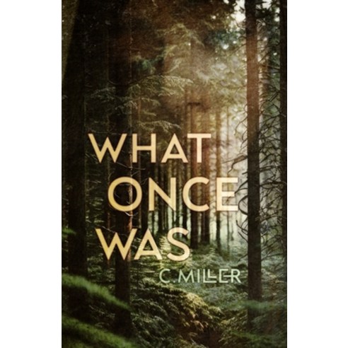 (영문도서) What Once Was: A New Adult Post-Apocalyptic Series Paperback, Independently Published, English, 9798859243471