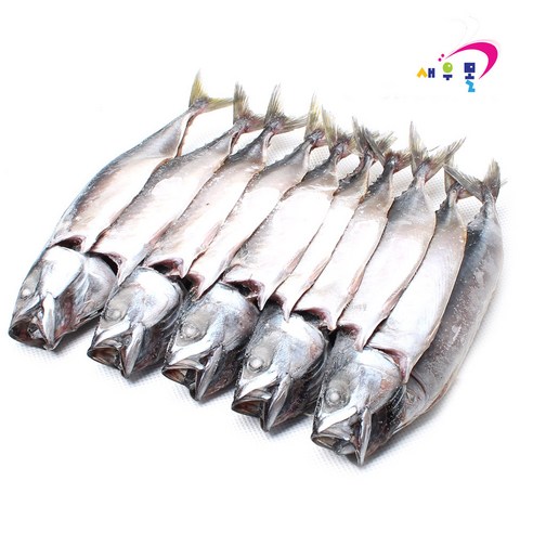 신선한 국산 재료로 만든 손질이 편리한 대형 고등어