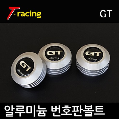 알루미늄 로고 번호판볼트 GT 무광티탄[3개1세트]