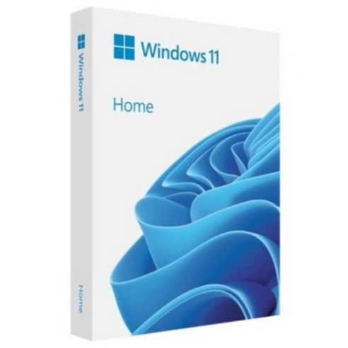 마이크로소프트 Windows 11 Home 처음사용자용 FPP USB, HAJ-00095