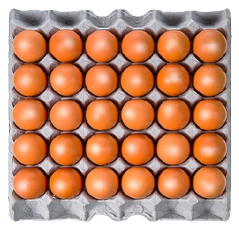 자연목초 당일생산 신선배송 중란 구운계란, 3개, 30구