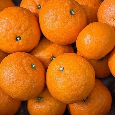 제주 카라향 5kg 정품 고당도 제철 만감류 산지직송, 1박스, 카라향정품(중과)5kg