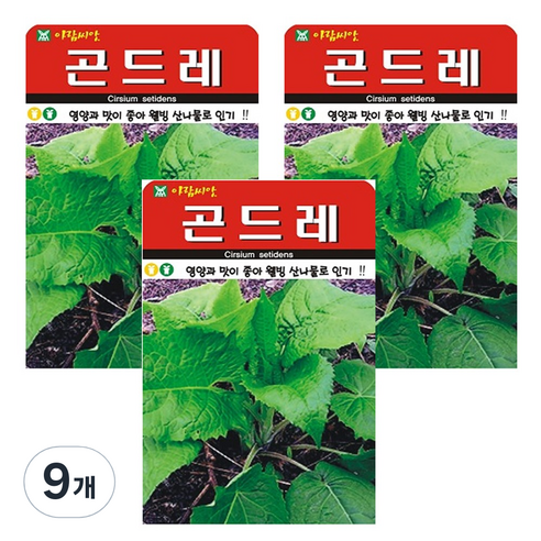 곤드레 씨앗 나물 씨 종자, 9개