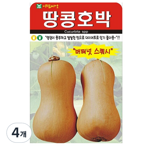 땅콩호박 씨앗 호박 씨 종자, 4개