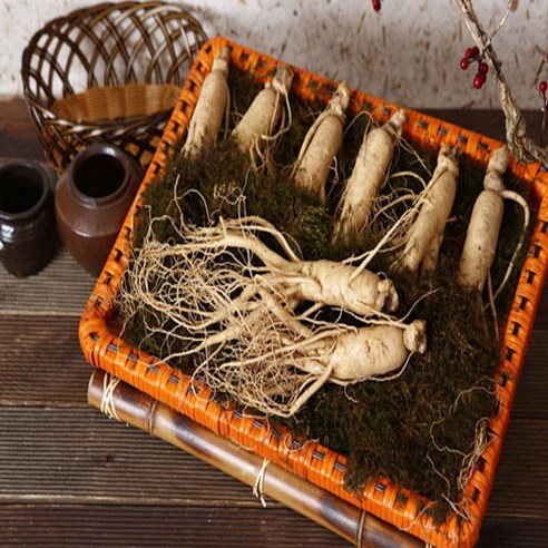 풍기농부 풍기인삼 6년근수삼대 1채 750g 8~9편 인삼/수삼/장뇌삼 - 인삼/수삼/장뇌삼 | 쿠팡