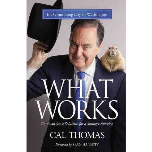 What Works: Common Sense Solutions for a Stronger America, Zondervan