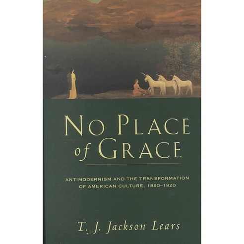 No Place of Grace: Antimodernism and the Transformation of American Culture 1880-1920 Paperback, University of Chicago Press