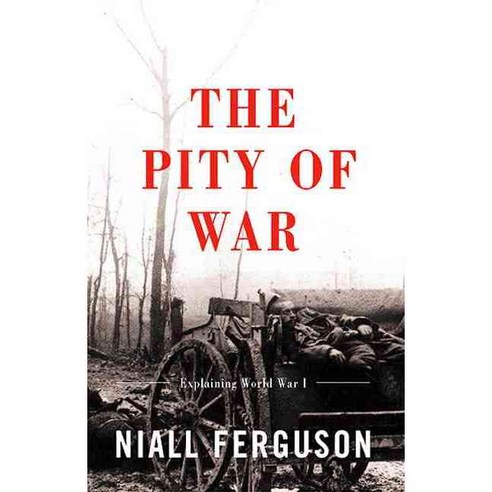 The Pity of War: Explaining World War I, Basic Books