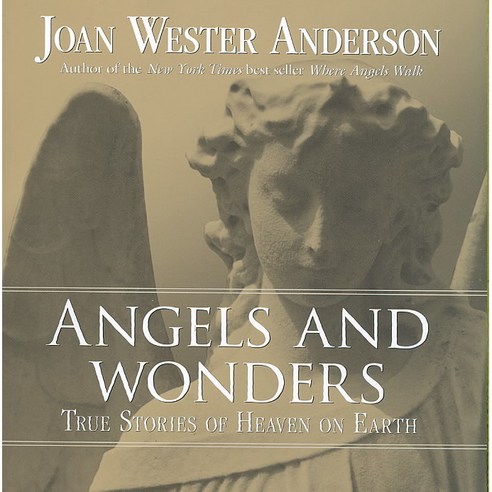Angels and Wonders: True Stories of Heaven on Earth, Loyola Pr