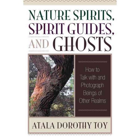 Nature Spirits Spirit Guides and Ghosts: How to Talk With and Photograph Beings of Other Realms, Quest Books