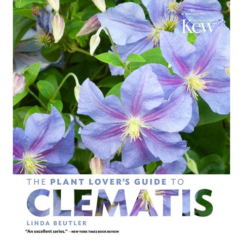 The Plant Lover''s Guide to Clematis, Timber Pr