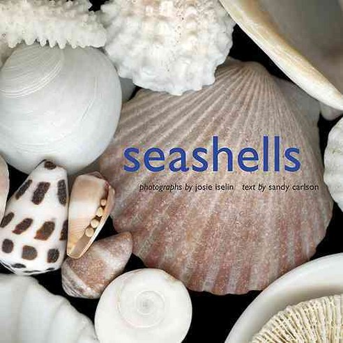 Seashells, Harry N Abrams Inc