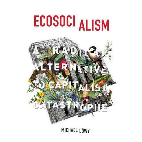 Ecosocialism: A Radical Alternative to Capitalist Catastrophe Paperback, Haymarket Books