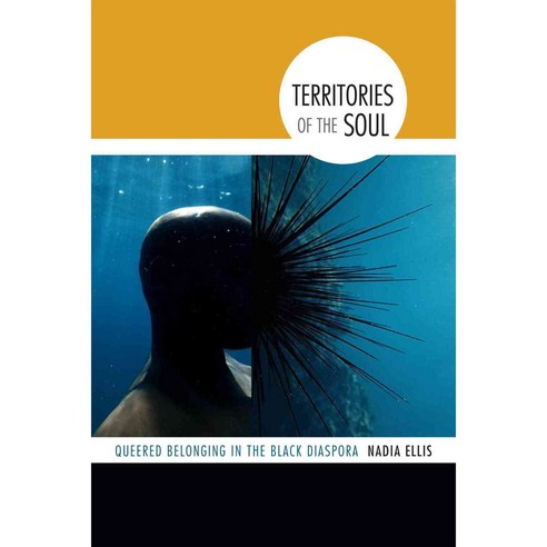 Territories of the Soul: Queered Belonging in the Black Diaspora, Duke Univ Pr