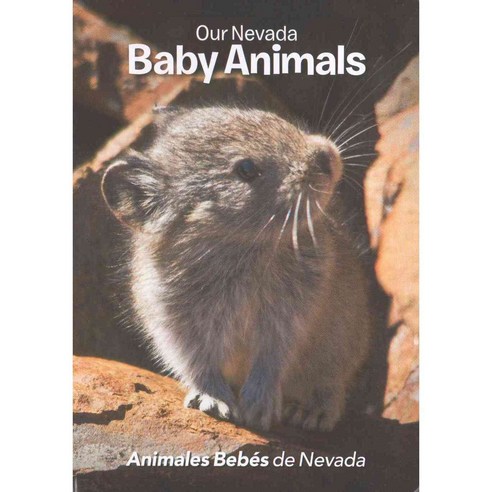 Our Nevada / De Nevada: Baby Animals / Animales bebes, Baobab Pr