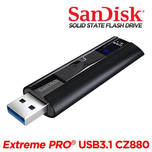 샌디스크 Extreme PRO USB3.1 CZ880 USB메모리, 256GB
