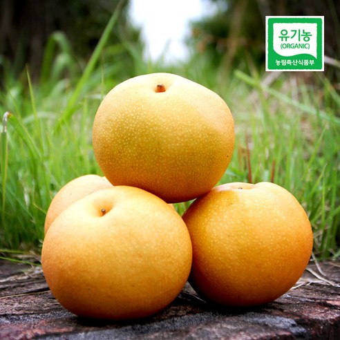 유기농 햇 배 7.5kg, 1박스, 유기농 배 중품 7.5kg(14과~15과)