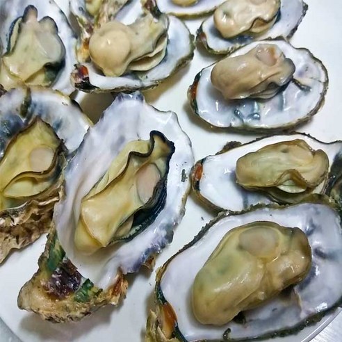 여수에서 온 신선한 석화굴로 집에서 맛있는 찜구이를 만드세요