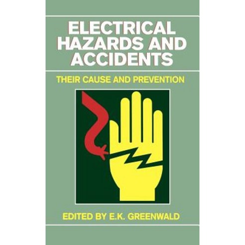 Electrical Hazards and Accidents: Their Cause and Prevention Hardcover, Wiley