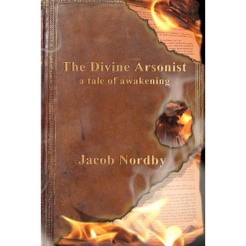 The Divine Arsonist: A Tale of Awakening Paperback, Createspace