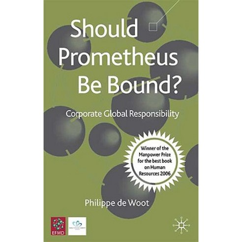 Should Prometheus Be Bound?: Corporate Global Responsibility Paperback, Palgrave MacMillan