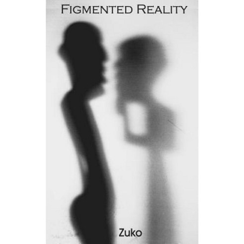 Figmented Reality Paperback, Frog in Well